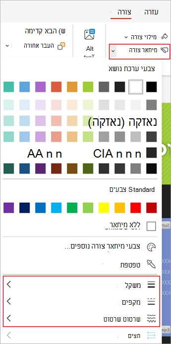 צילום מסך המציג את האפשרויות 'מיתאר צורה' בכרטיסיה 'צורה' PowerPoint באינטרנט.