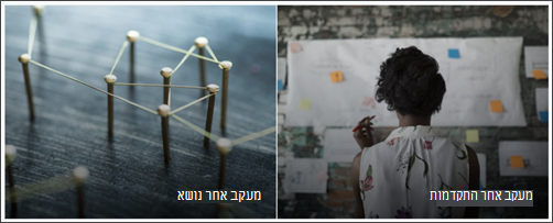 צילום מסך של ה- Web Part תמונה בולטת