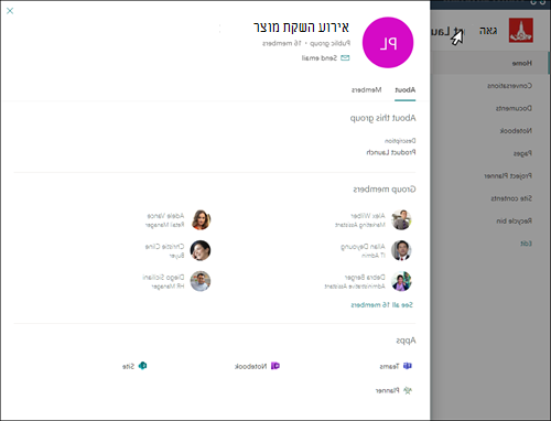 גישה לכרטיס הקבוצה M365