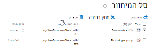 רוקן את סל המיחזור של כל הפריטים