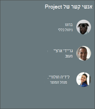 צילום מסך של People Web Part