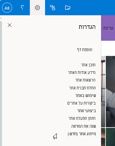 צילום מסך של ערך מיתוג האתר