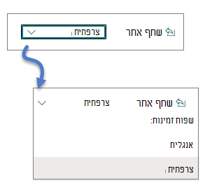 רשימה נפתחת של שפה