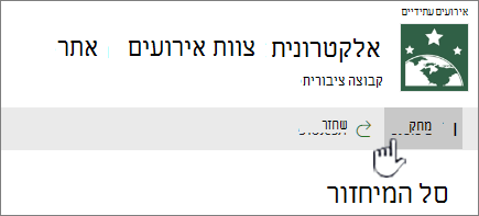 לחצן מחיקת פריט של מיחזור של SharePoint Online