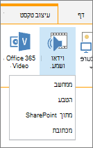לחצן 'הוסף וידאו או שמע' ברצועת הכלים 'עריכה'