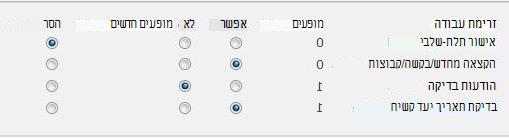 טופס בדף 'הסרת זרימות עבודה'