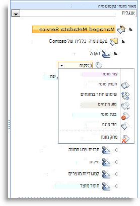 השתמש בתפריט כדי לנהל מונחים בתוך ערכת מונחים.