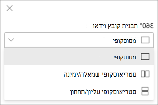 אפשרויות וידאו