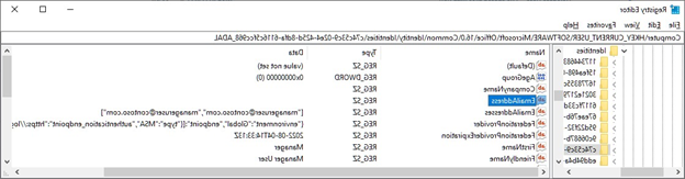 צילום מסך של עורך הרישום והנתיב כאשר Outlook מפסיק