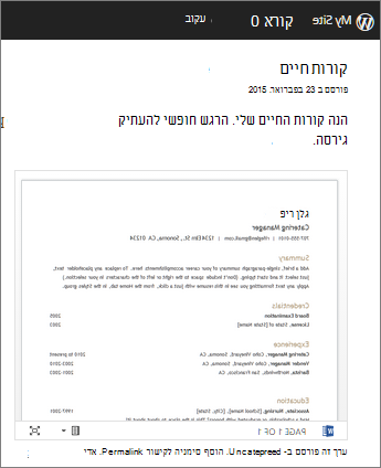 מסמך Word מוטבע בפרסום בלוג