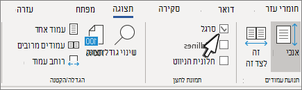 הגדרת הסרגל בכרטיסיה 'תצוגה'