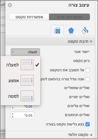 צילום מסך של 'בחר יישור'