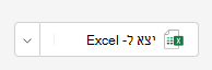 ייצוא של Excel