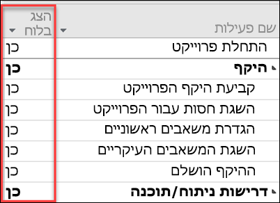 הצג בהגדרת לוח עבור פעילויות