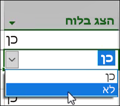 הצג בהגדרת לוח