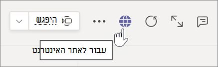 צילום מסך של סמן המצביע על סמל גלובוס וטקסט תיאור כלי עבור לאתר האינטרנט