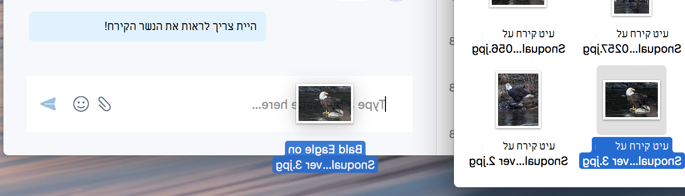 שחרור ושחרור לשליחת קובץ בצ'אט