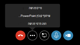 הפקודה 'סיים פגישה' בתפריט 'אפשרויות נוספות' (...)