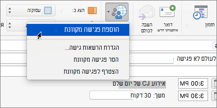 צילום מסך של בקשה לפגישה שבה האפשרות 'הוסף פגישה מקוונת' נבחרה ברצועת הכלים.