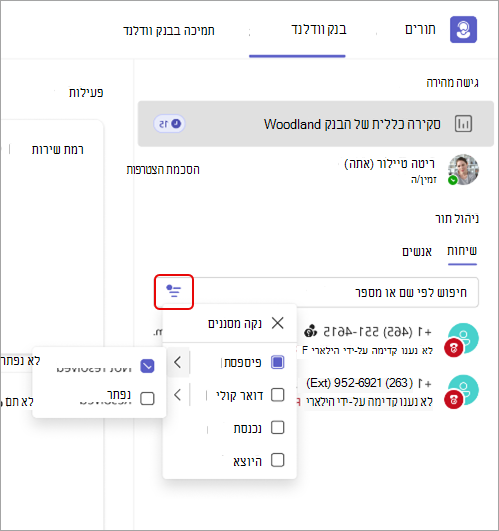 צילום מסך המציג פרטי מסנן שיחות באפליקציה 'תורים'.