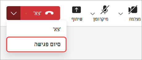 בחר סיים פגישה כדי לסיים את הפגישה עבור כל המשתתפים.