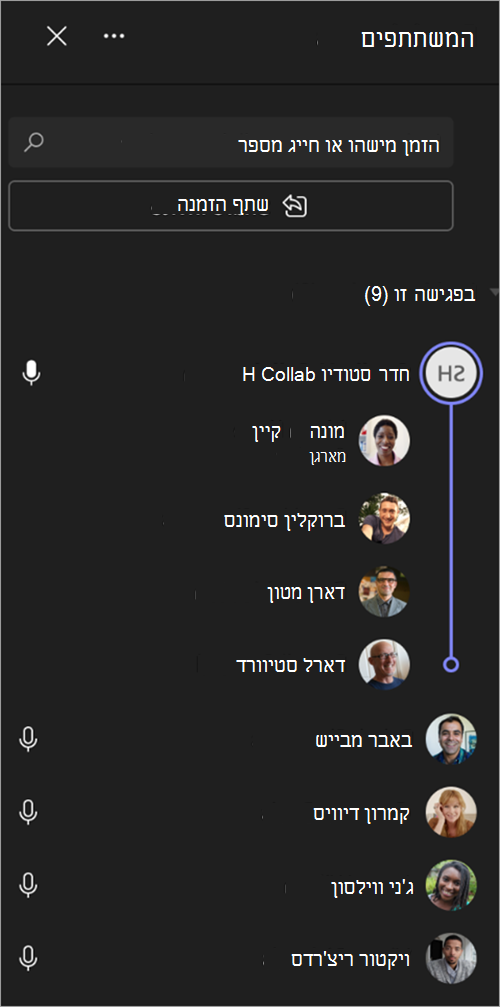 צילום מסך שמציג כיצד משתתפי פגישה מקובצים בלוח השיחות