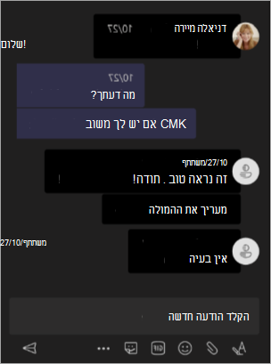 צילום מסך המציג תצוגת מארגן כאשר שמות מוסתרים בפגישה או בסמינר מקוון של Teams.