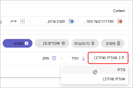 צילום מסך שמראה כיצד לשנות את שפת התעתיק בפגישה.