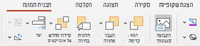 לחצן 'טקסט חלופי' ברצועת הכלים PowerPoint עבור Mac.