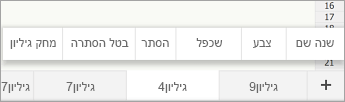 הכרטיסיה 'גיליון שנבחר', המציגה את הפקודה 'שינוי שם'
