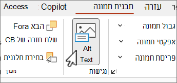 לחצן 'טקסט חלופי' בתפריט 'עיצוב תמונה' Word