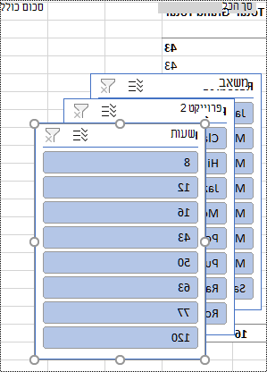 מסנני כלי פריסה בגליון עבודה ב- Excel.
