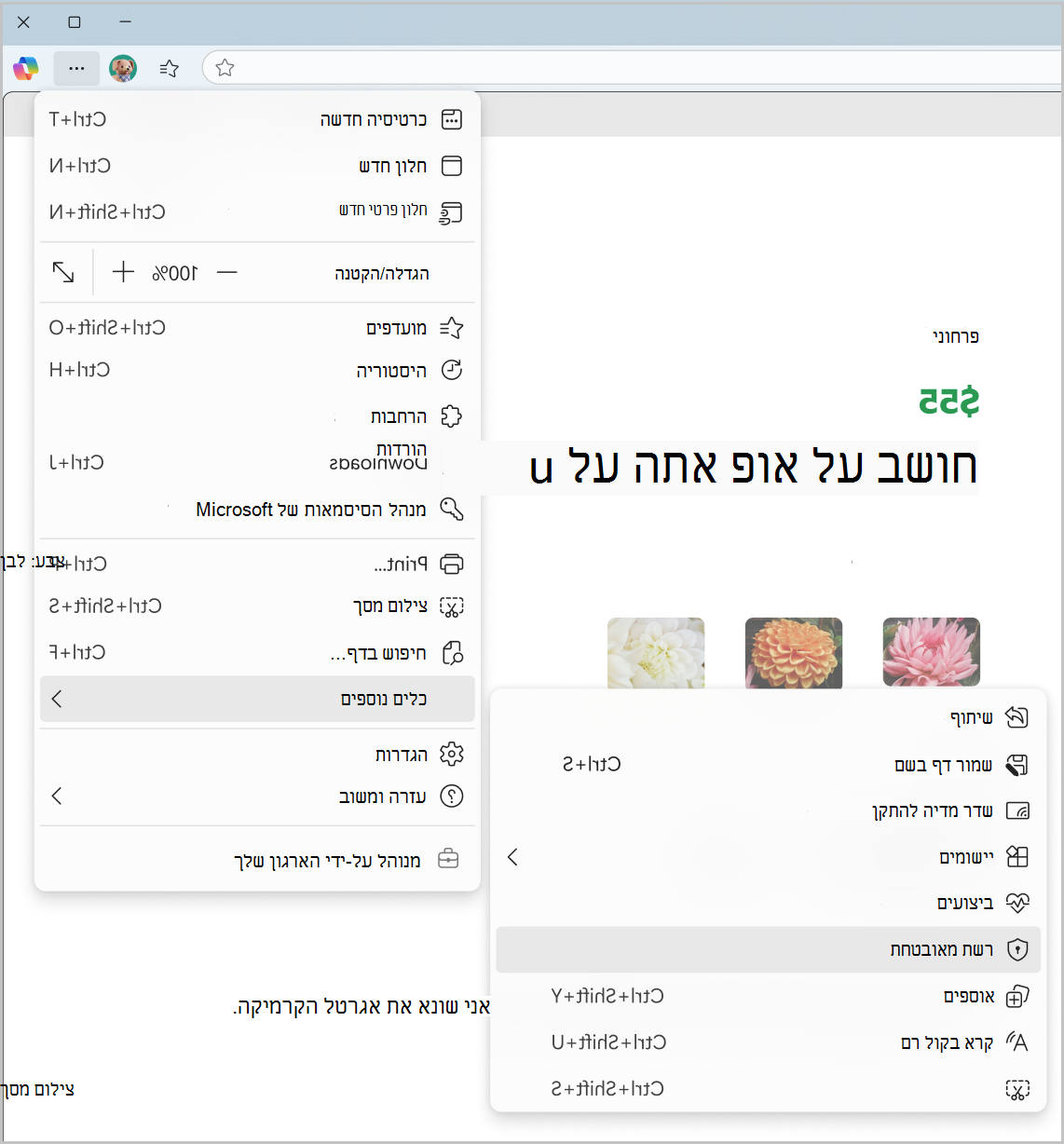 צילום מסך של 'רשת מאובטחת' מתוך תפריט 'הגדרות ועוד'