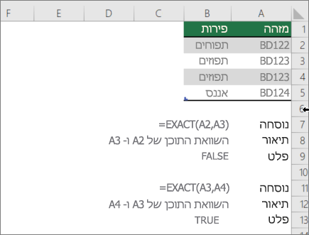 דוגמה באמצעות הפונקציה EXACT להשוואה בין תא אחד לתא אחר