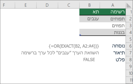 דוגמה המשתמשת בפונקציות OR ו- EXACT להשוואת ערך אחד לרשימת ערכים