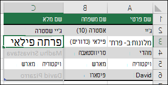 שרשור נתונים באמצעות 'מילוי מהיר'
