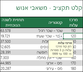 הודעת קלט מוצגת כאשר משתמשים בוחרים את התא