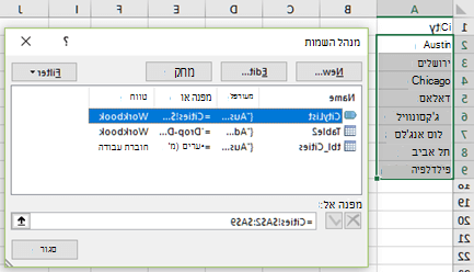 מנהל השמות