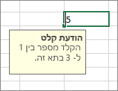 הודעת קלט מוצגת עבור תא