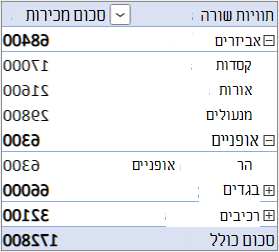 צורת הפריסה המוגדרת כברירת מחדל עם שדה 'ערך' באזור 'שורות'
