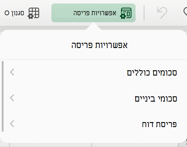 הרשימה הנפתחת 'פריסת PivotTable' ב- iPad.