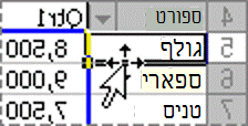 דוגמה של העברת פריט בדוח PivotTable