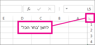 לחצן 'בחר הכל'