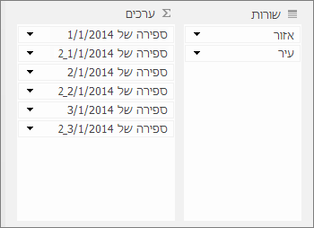ערכים משוכפלים באזור 'ערכים'