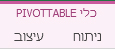 כלי PivotTable
