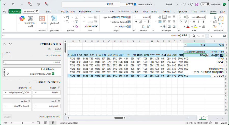 PivotTable מעודכן
