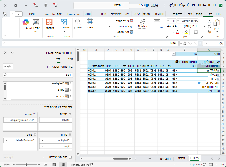 PivotTable עם סדר לא רצוי