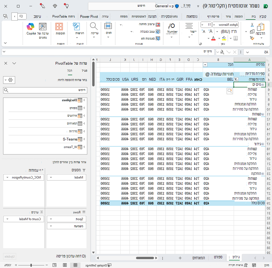 PivotTable עם סדר מתוקן
