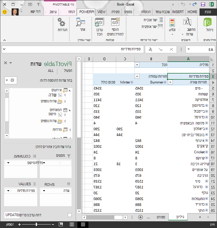 PivotTable שנוספה אליו הירארכיה