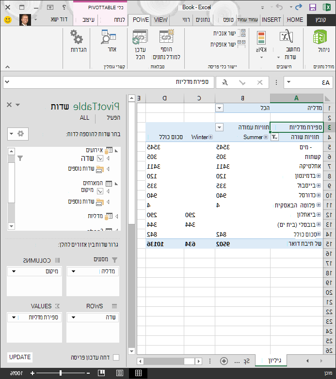 PivotTable מסונן